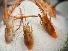-HOMES上海本帮菜(襄阳公园店)