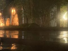 -雅安楠水阁温泉酒店