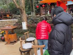 -天目湖山水园