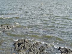 -兴城海滨风景区