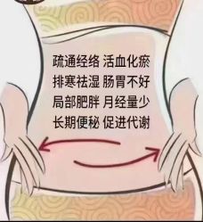 -香薇妮丝女子减肥院