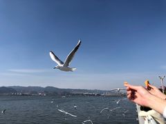 -海埂大坝