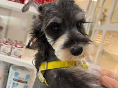 -comecome来吧宠物(奥克斯中心店)