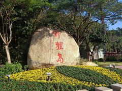 -野狸岛