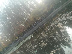 -八大关景区