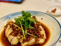 沙姜走地鸡-博多新记·粤菜(复兴店)