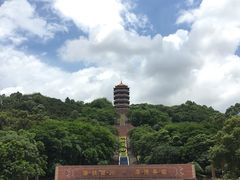 -福神岗公园