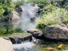 -罗红摄影艺术馆