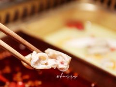 -九鼎轩脆毛肚火锅(三钢里店)