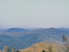 -莫干山风景区