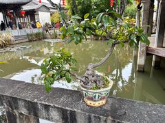 -朱家花园