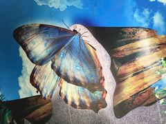 -上海昆虫博物馆