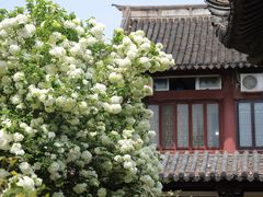 -常熟方塔园