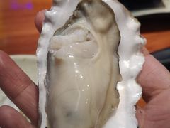 -千岛蚝高压锅生蚝·人参火锅(白云万达店)