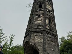 -上海佘山国家森林公园天马山园