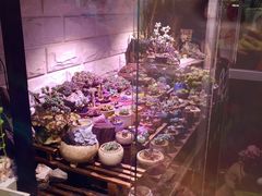 我是凑图-芳叔(动漫星城店)