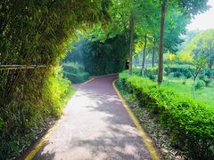 -西安汉城湖景区