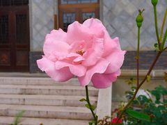 iphone_upload_pic-龙潭水乡