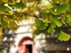 -北京石刻艺术博物馆(五塔寺)