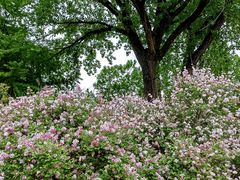 -国家植物园南园