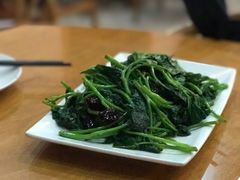 -功夫兔