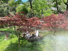 -车溪民俗旅游区