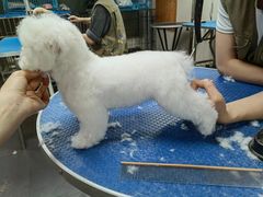 -转角宠物(转塘方家苑店)
