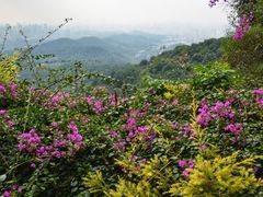 -广州市白云山风景名胜区