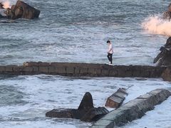 -小麦岛公园
