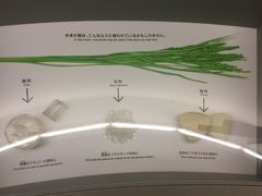 -日本科学未来馆