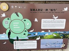 -深圳湾公园(南山区)