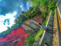 -莫干山风景区
