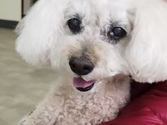 -美联众合动物医院·24h转诊中心