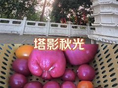 -华姐鸡粉(教育路店)