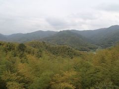 -宁波浙东大竹海景区