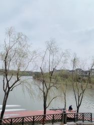 -卓玥国际月子会所(罗山路店)