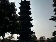 -龙华素斋(龙华路店)