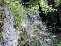 -水绘园