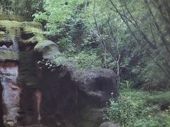 景点-武夷山风景名胜区-玉女峰