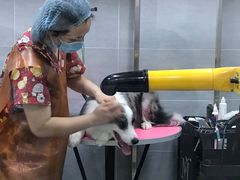 -宠福鑫康馨动物医院·骨科·眼科