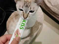 -藏猫猫咖啡主题馆(中央大道店)