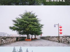 -南京博物院