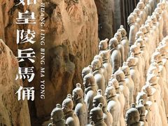 -秦始皇帝陵博物院(兵马俑)