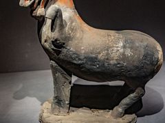 -大同市博物馆