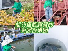 -菊园百果园