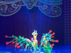 -珠海横琴长隆《卡卡虎奇遇记》