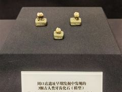 -北京周口店北京人遗址博物馆