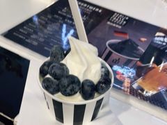 -JW德国冻酸奶Frozen Yogurt(龙湖成都滨江天街店)