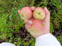 -阿坝州汶川特别旅游区