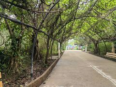 -广州长隆飞鸟乐园